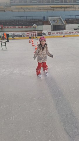 4aukoncilabrusleni 10